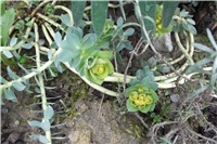 bb96e86e-Picture 026.jpg